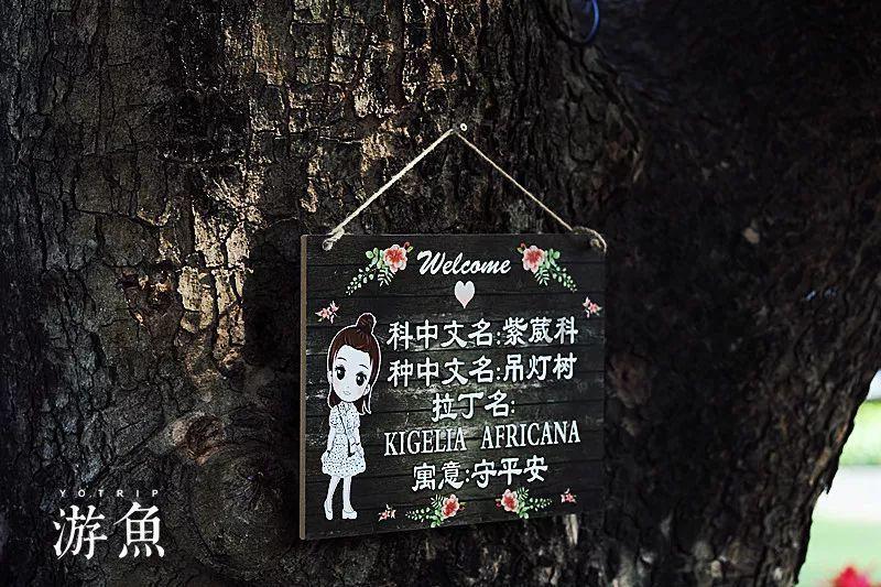 海盗的寻宝之旅