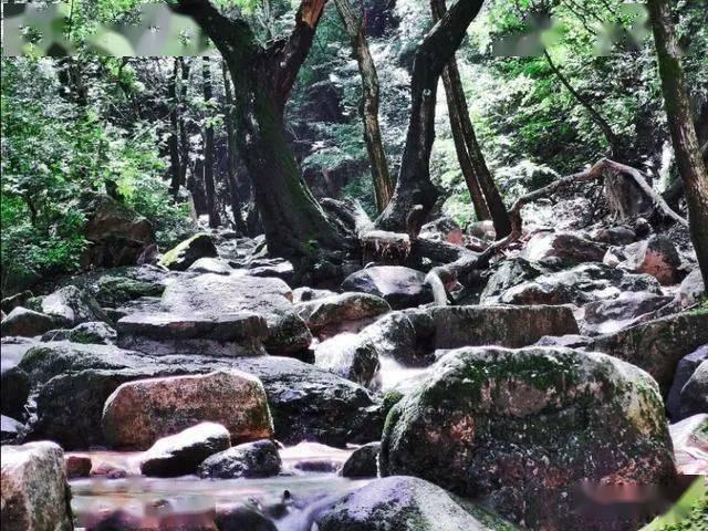 逃离昏暗下的小村