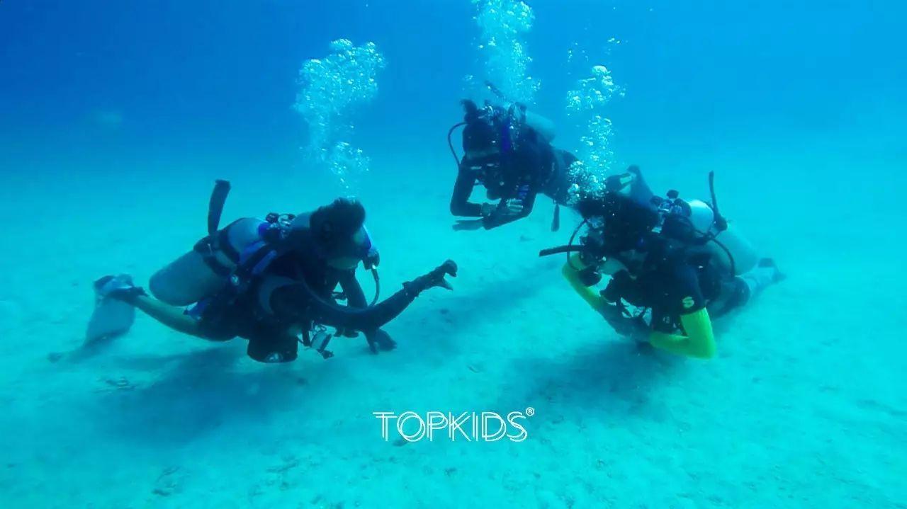 海绵宝宝寻珍宝