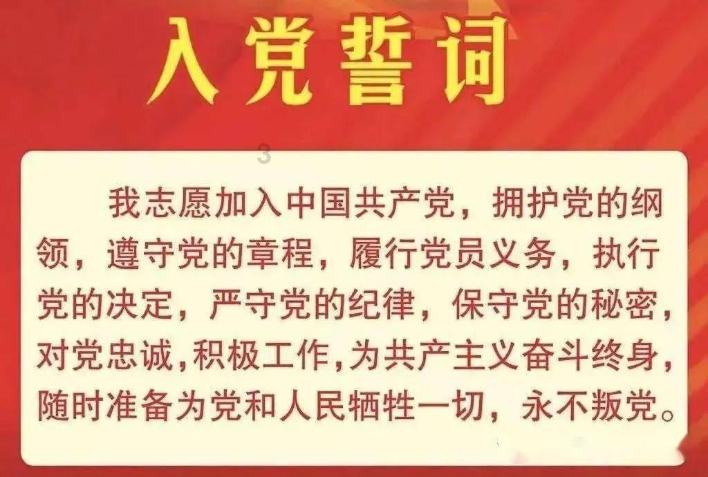 尖扎县各级团支部认真召开团员和青年主题教育专题组织生活会