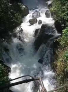 虫虫助手下载