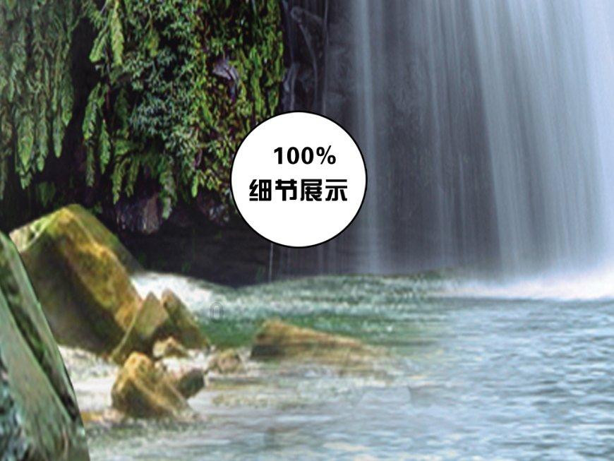 逃离梦想花园